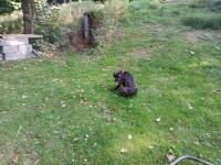 20250927_155608 (1024x768).jpg